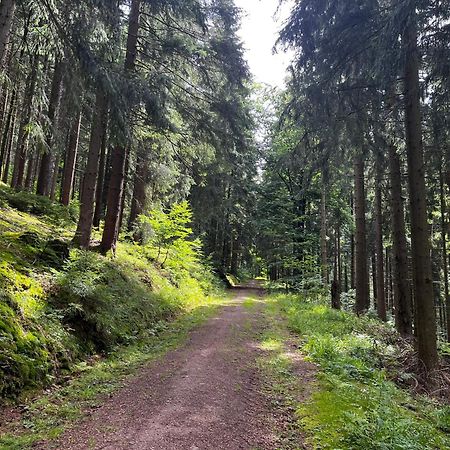 Gaestehaus Im Erzgebirge Zwönitz Esterno foto