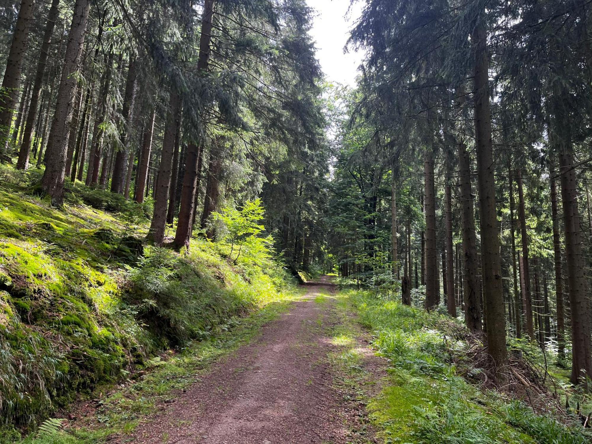 Gaestehaus Im Erzgebirge Zwönitz Esterno foto